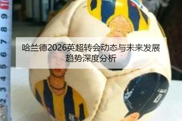 哈兰德2026英超转会动态与未来发展趋势深度分析