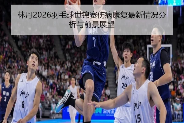 林丹2026羽毛球世锦赛伤病康复最新情况分析与前景展望