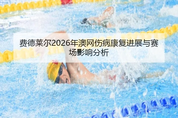 fei-de-lai-er-nian-ao-wang-shang-bing-kang-fu-jin-zhan-yu-sai-chang-ying-xiang-fen-xi-2-914.jpg