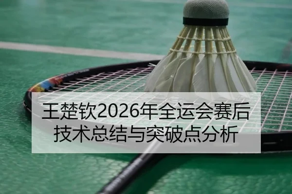 王楚钦2026年全运会赛后技术总结与突破点分析